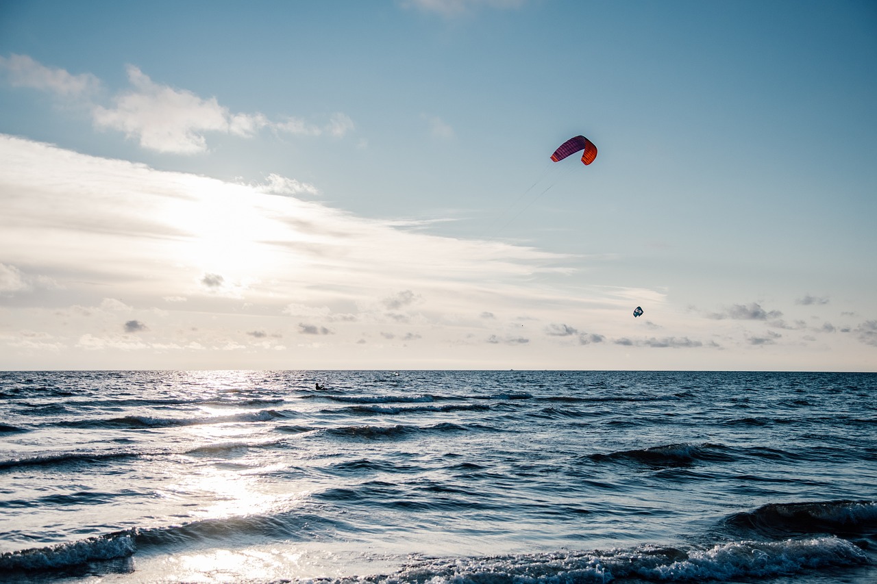 The Effect of Single-Use Plastics on Oceanic Life